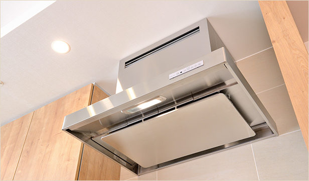 Stainless exhaust hood