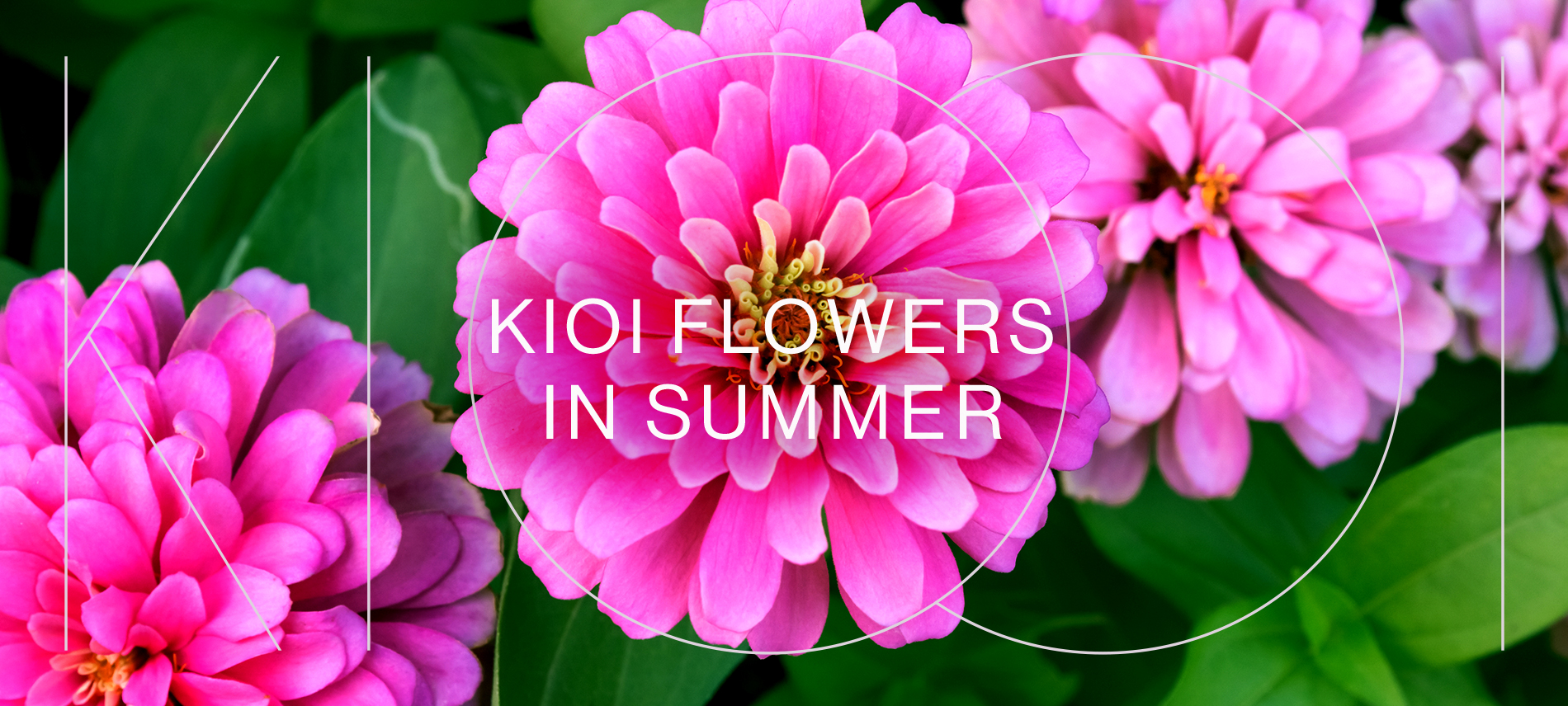 KIOI FLOWERS IN SPRING