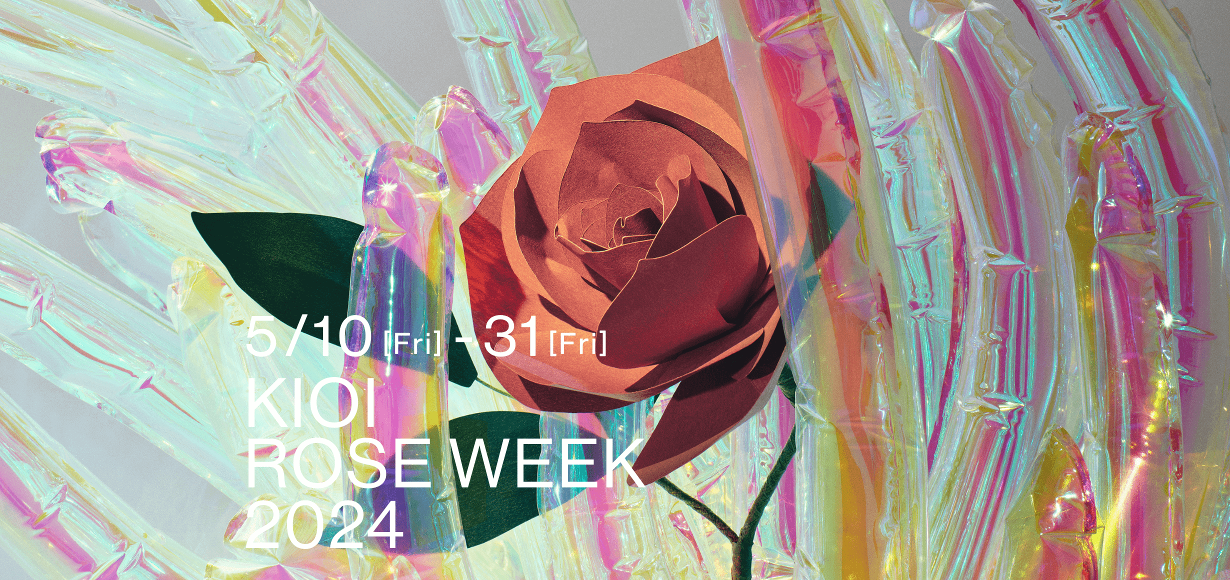 KIOI ROSE WEEK 2024