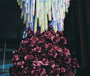 KIOI ROSE EXHIBITION edenworks × Daisy Balloon バラの根と花が出会うとき