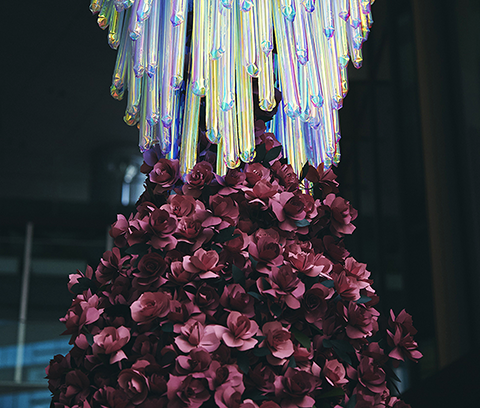 KIOI ROSE EXHIBITION edenworks × Daisy Balloon バラの根と花が出会うとき