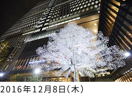 Crystal Illumination 輝きの集い 2016  ライトアップセレモニー