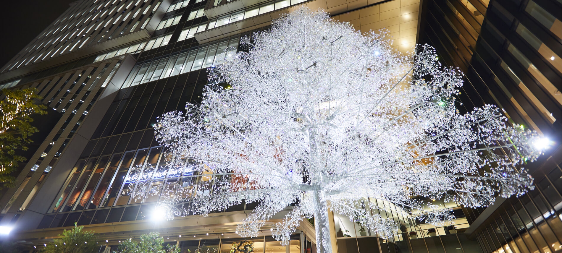 Crystal Illumination 輝きの集い 2016 ライトアップセレモニー