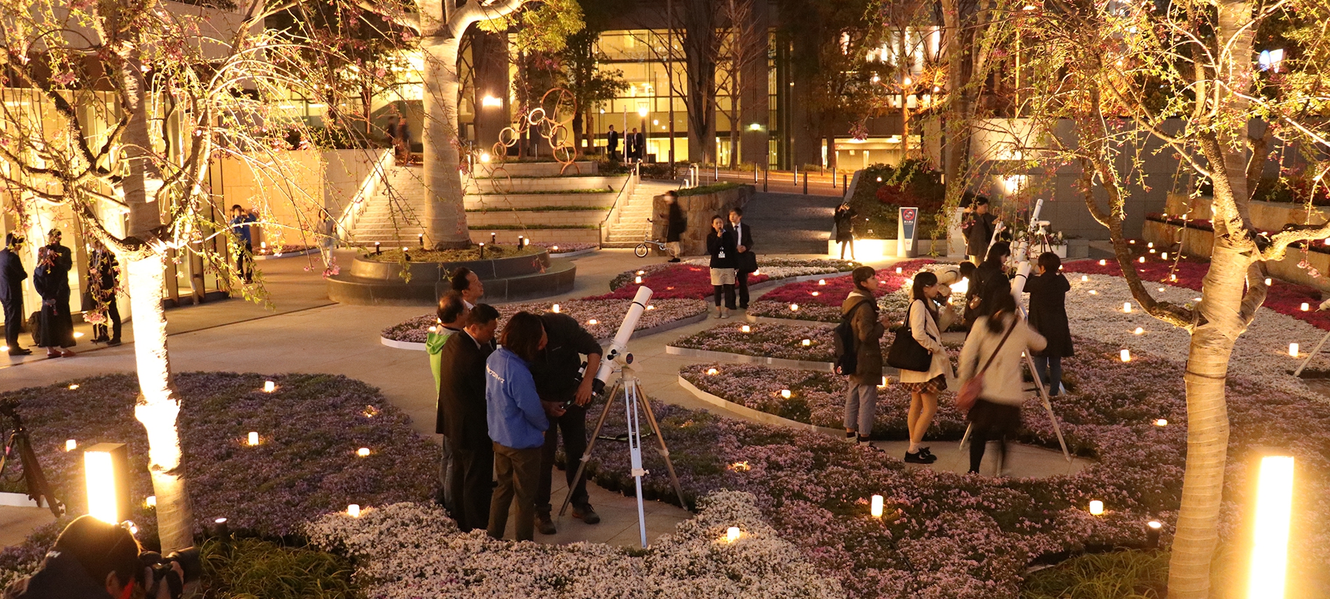 星空の集い 芝桜の中で月面クレーターを見よう