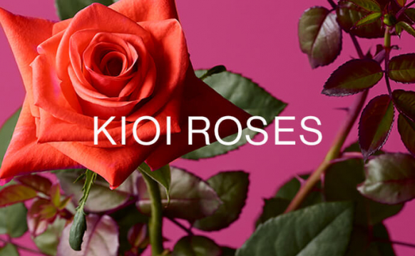 KIOI AUTUMN ROSES
