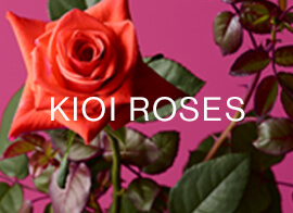 KIOI AUTUMN ROSES