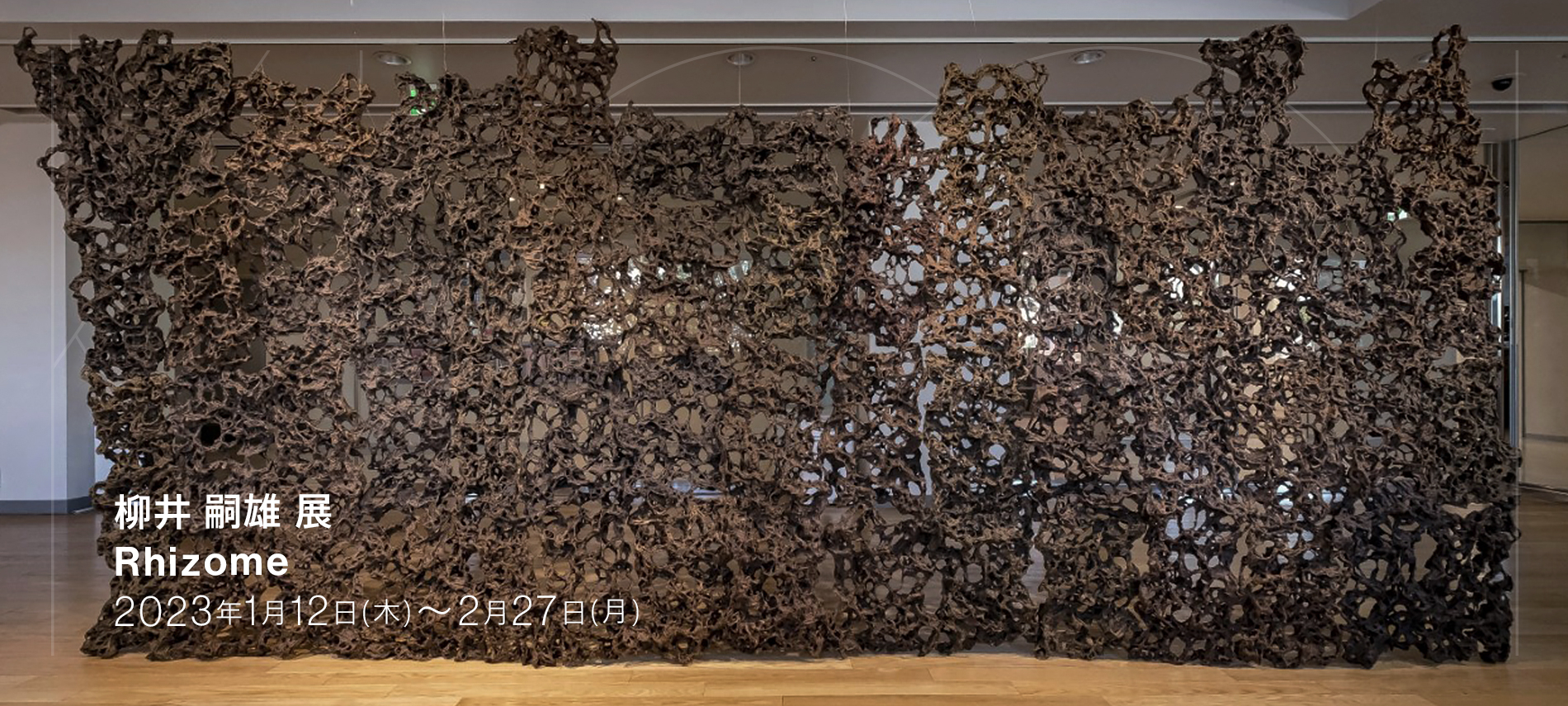 柳井 嗣雄 展 「Rhizome」