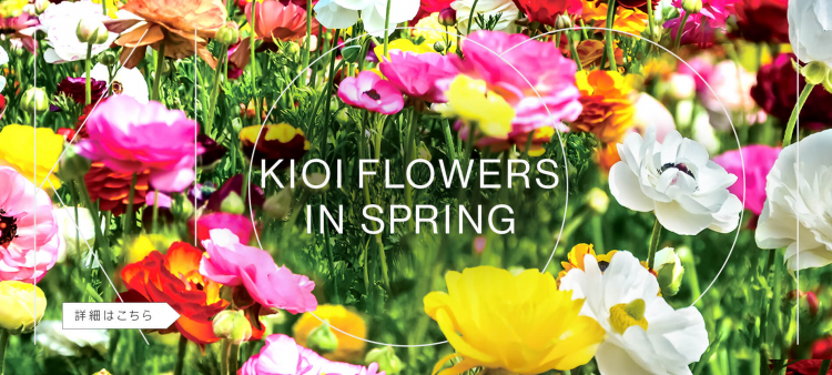KIOI FLOWERS 春の花情報