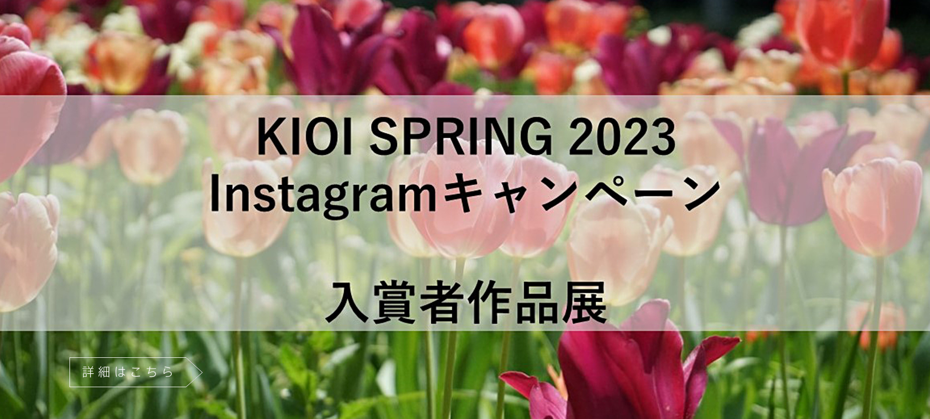 KIOI SPRING 2023 Instagramキャンペーン 入賞者作品展