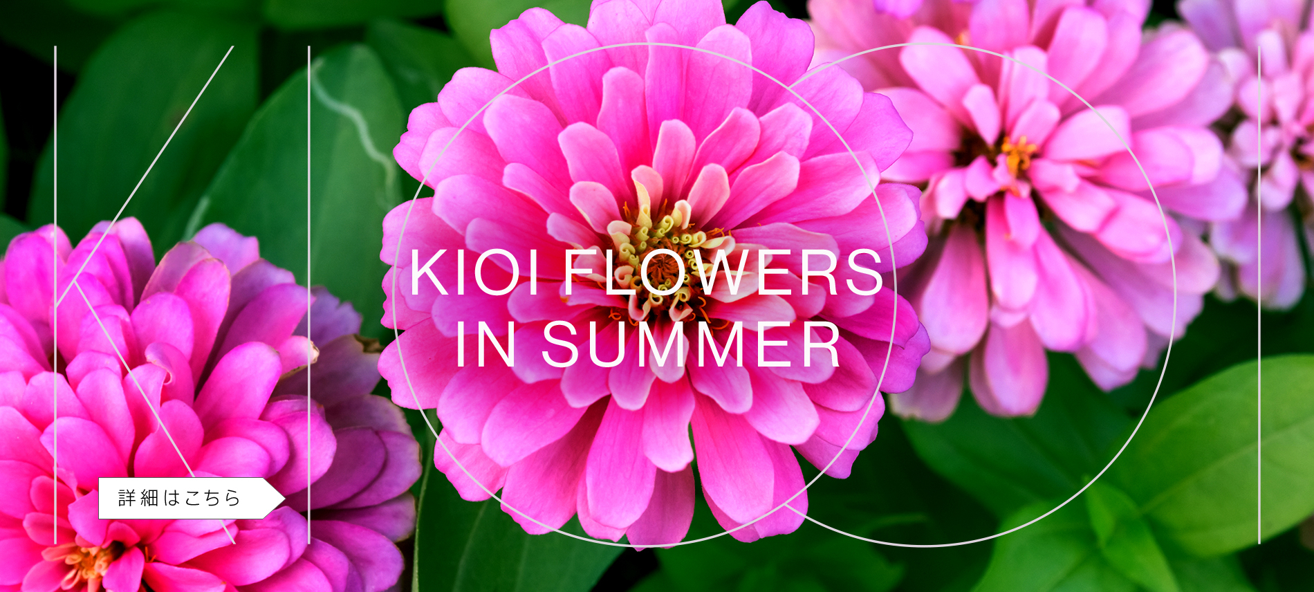 KIOI FLOWERS 夏の花情報