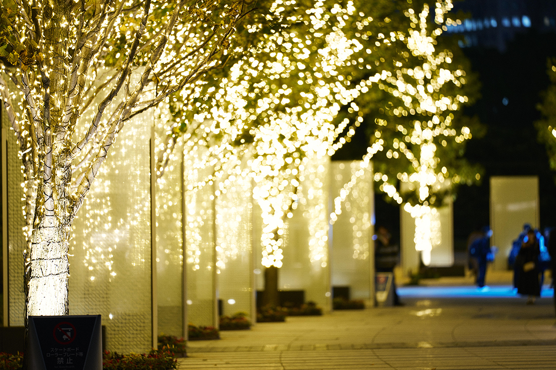 イルミネーションの写真