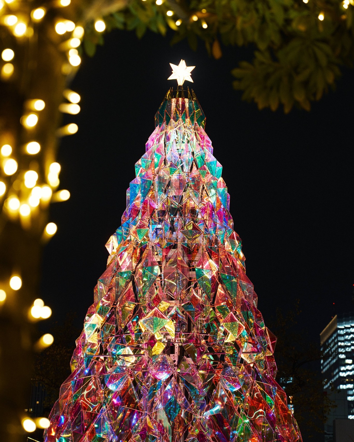 クリスマスツリーの写真